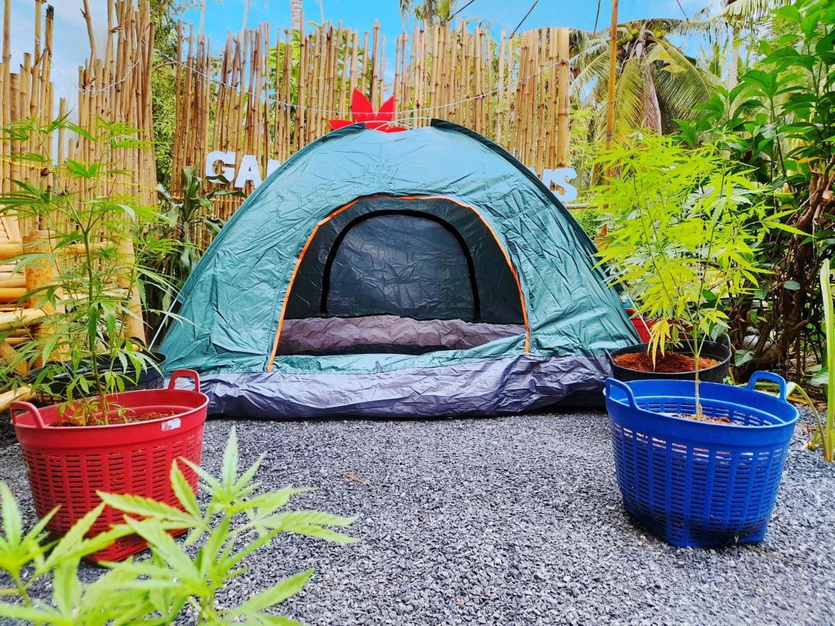 Hotel Ganja Gardens Camping Ban Nua Exteriér fotografie